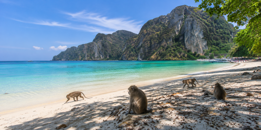 phi phi island