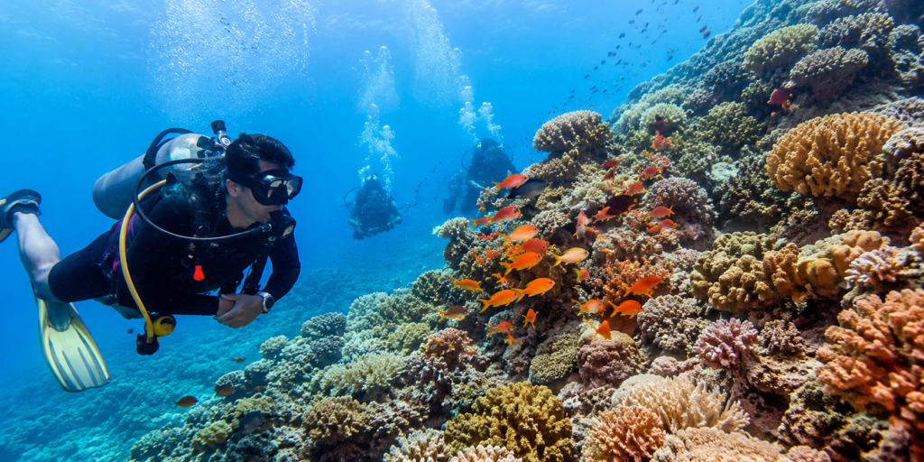 lakshadweep tour packages