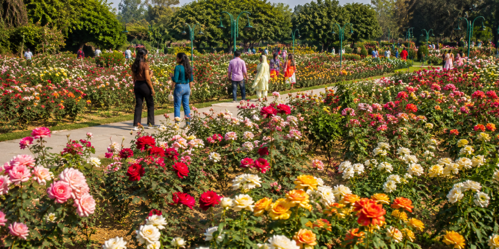 chandigarh tourist places