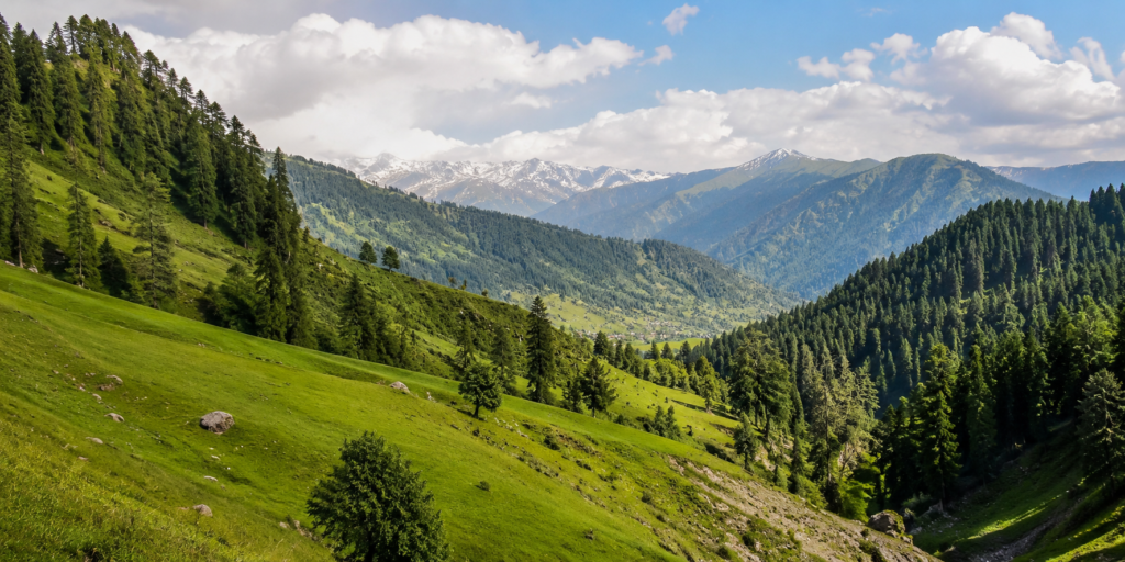 himachal kufri